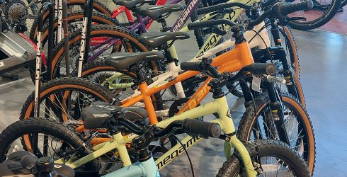 Fermeture mardi 11 novembre