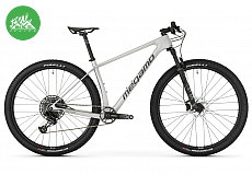 FACTORY 15 FACTORY 15