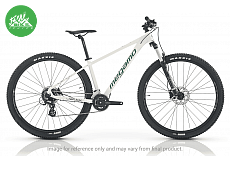 NATURAL 40 NATURAL 40